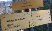 Tour Wandern Vernet-les-Bains - 20210419 Vernet-St Martin du Canigou... - Photo 12