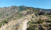 Trail Walking Val-d'Aigoual - 4000 marches-14-06-22 - Photo 5