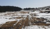 Percorso Racchette da neve Pont de Montvert - Sud Mont Lozère - Mas de la Barque l'Aubaret et Cassini - Photo 10