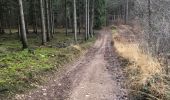 Trail Walking Sprimont - Tour de bois d'arlon  a Banneux 9Km  - Photo 4