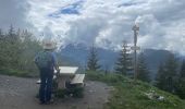 Randonnée Marche Passy - Plaine Joux, Barnus, le lac vert - Photo 4