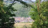 Tocht Stappen Yvoir - Yvoir, boucle sur les roches, réserve de Champalle - Photo 7