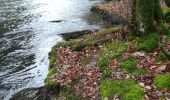 Tocht Stappen La Roche-en-Ardenne - Maboge  - Photo 12