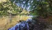 Tour Wandern Hohenfels - rando nadrin 10-09-2023 - Photo 9