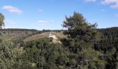 Tocht Elektrische fiets Le Puy-en-Velay - stevenson2 - Photo 1