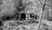 Trail Walking Laure-Minervois - LAURE MINERVOIS - Le sentier des Capitelles - Photo 9