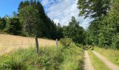 Trail Walking Saint Vith - McKennenbah - Photo 6