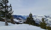 Randonnée Raquettes à neige Bourg-Saint-Maurice - Les Arcs Chantel vers l'Altiport en boucle  - Photo 5