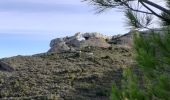 Tour Wandern La Ciotat - la Ciotat grotte Fardeloup - Photo 11