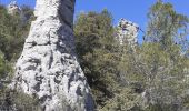 Trail Walking La Roquebrussanne - Source des Orris rochers menhirs (83) - Photo 9