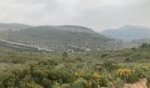 Trail Walking Allauch - Allauch - Photo 3
