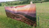 Trail Walking Pontpierre - expo nature Faulquemont  - Photo 11