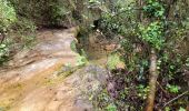 Percorso Marcia Trans-en-Provence - Le vallon du Rousset et le vallon des Prouits - Photo 4