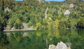 Randonnée Marche Saint-Maurice-sur-Moselle - Rouge Gazon - Lacs des Perches et du Neuweiher - Col des Charbonniers  - Photo 5