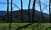 Trail Walking Fréjus - Col d'Auriasque - Lac de l'Avellan - Col Testanier - MF Malpey - Cantine Porfait - MF Cantonniers - Photo 6