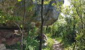 Percorso Camminata nordica Lauroux - SityTrail - Labeil Forêt de l'Escandorgue Juin 2021 - Photo 10