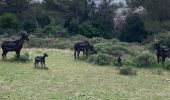 Tocht Stappen Tarascon - Le planet  - Photo 1