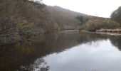 Trail Walking Bouillon - Rochehaut 191120 - Photo 8