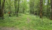 Tocht Stappen Valloire-sur-Cisse - Seillac - Circuit des Bois - Photo 15