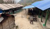 Trail Walking Dangsing - Annapurna Base Camp - Photo 3