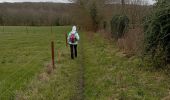 Trail Walking Charleroi - mont sur marchienne dans les bois - Photo 1