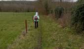 Trail Walking Charleroi - mont sur marchienne dans les bois - Photo 1