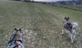 Trail Walking Maastricht - CANI-RANDO TOUR (boucle, montage saint pierre partie Hollande) - Photo 5