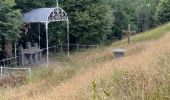 Trail Walking La Tour-d'Auvergne - Natzy - Photo 11