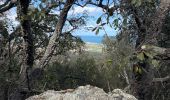 Trail Walking Argelès-sur-Mer - Château de Valmy par les dolmens - Photo 3