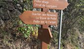 Excursión Senderismo Peille - La Lourquiere au départ de la gare de Grave de Peille - Photo 6