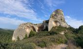 Tour Wandern Saint-Rémy-de-Provence - Gaussier, Peiroou et les 2 trous - Photo 3