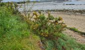 Randonnée Marche Fouesnant - baie autour de cap coz vers fouebant Penfoulick  - Photo 10