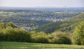 Tour Zu Fuß Nideggen - Stauseerundweg Obermaubach - Photo 7