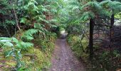 Tocht Stappen Le Faou -  GR34 Le Faou -- Rangulic - Photo 6