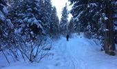 Randonnée Raquettes à neige Orsières - Champex Lac - Arpette - Champex Lac - Photo 5