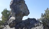 Randonnée Marche La Roquebrussanne - Source des Orris rochers menhirs (83) - Photo 13