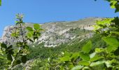 Excursión Senderismo Châtillon-en-Diois - Les Cabanes de Châtillon (Glandasse) - Photo 10