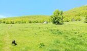 Tour Wandern Omblèze - Refuge d' Ambel - Photo 5