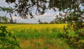 Randonnée Marche Doische - De Gochenée à Vodelée par la vallée de l'Hermeton - Photo 6