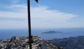 Tour Wandern Marseille - Mont Puget par aiguille Guillemin, retour par le Vallon Mestrallet - Photo 4