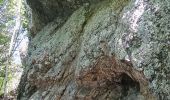 Tour Wandern Wegscheid - FucksfelsenBelacker - Photo 7