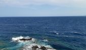 Trail Walking Port-Vendres - port vendre . cap bear / retour  - Photo 5