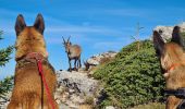 Trail Walking Glières-Val-de-Borne - 2022- Rochers de Leschaux - AR - Photo 2