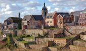 Randonnée Marche Thuin - Thuin - De la Biesmelle à la Sambre - Photo 9