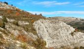 Percorso Marcia Saint-Vallier-de-Thiey - Face Sud de la montagne de Thiey - Photo 19