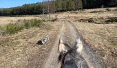 Trail Horseback riding Habay - Marbehan côté Thibessart - Photo 13