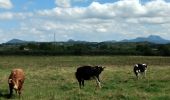 Tour Wandern Montfermy - Autour de Montfermy - Photo 3