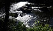 Tour Wandern Saint-Laurent-sur-Sèvre - Rando St Laurent sur Sèvres 15km - Photo 1