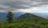 Tour Wandern L'Albère - ullat . piste . puig orella . puig St cristau . puig orella . ullat - Photo 10