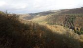 Trail Walking Bouillon - Rochehaut 191120 - Photo 1